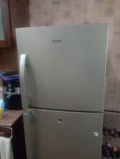 Haier Fridge (Needs compressor change)