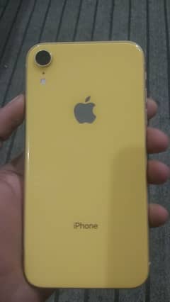 iphone xr 256gb