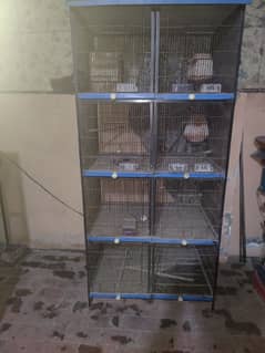 Birds cage / iron cage