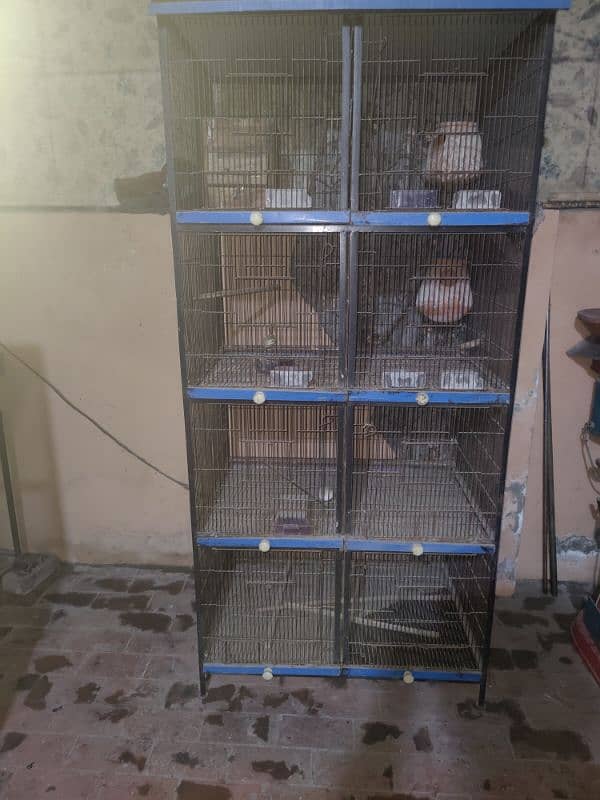 Birds cage / iron cage 0