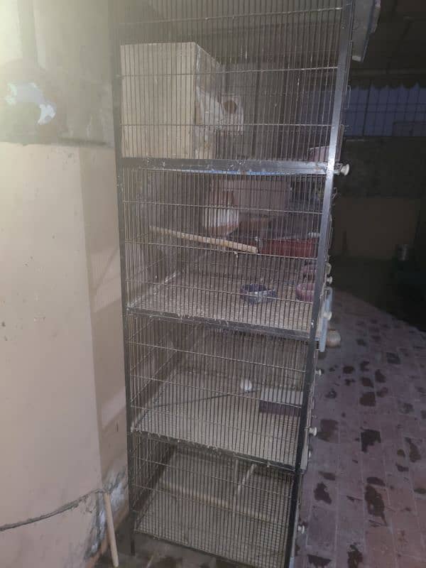 Birds cage / iron cage 1