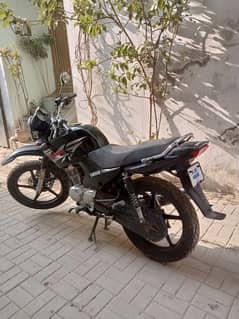 Yamaha  125 ybr g 03128131511