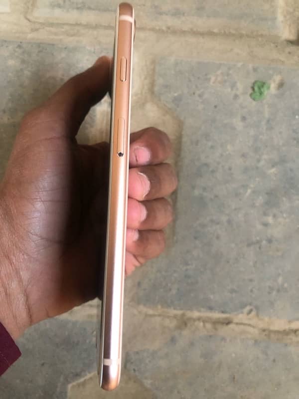 8plus 10/10 conditon nonpta 64gb only panel change urgent sale 3