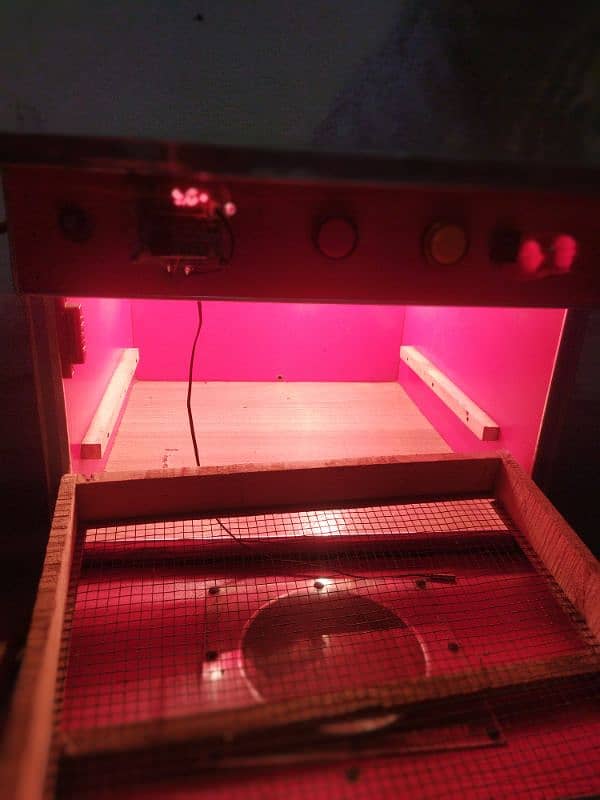 incubator used 3