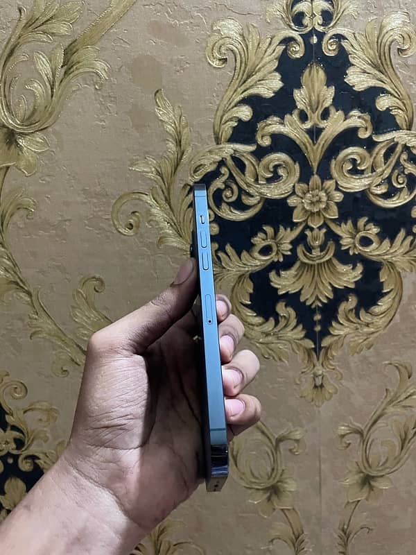 IPhone 12 Pro Max PTA Approved 3