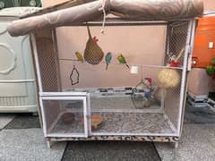 Bird cage and parrot