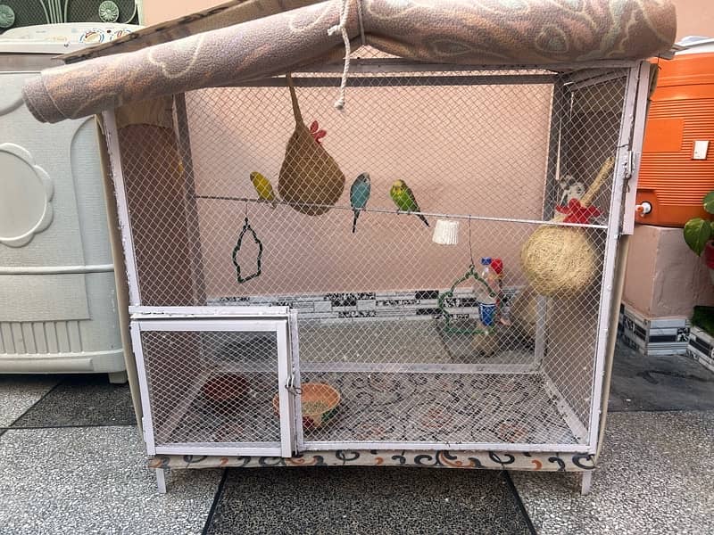 Bird cage and parrot 0