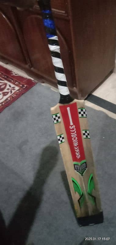 cricket bat 1