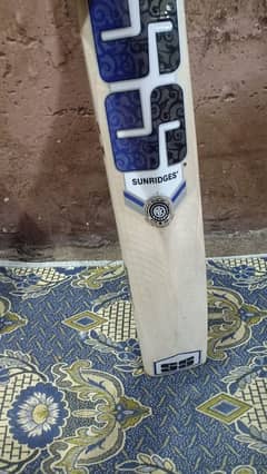 SS bat available