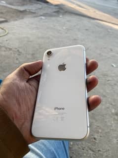 iphone xr 256gb pta approve