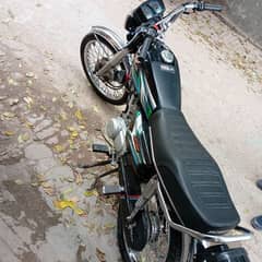 Honda 125 23/24