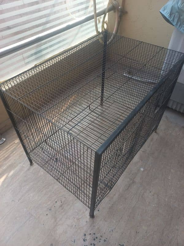 Large Chicken Cage 1