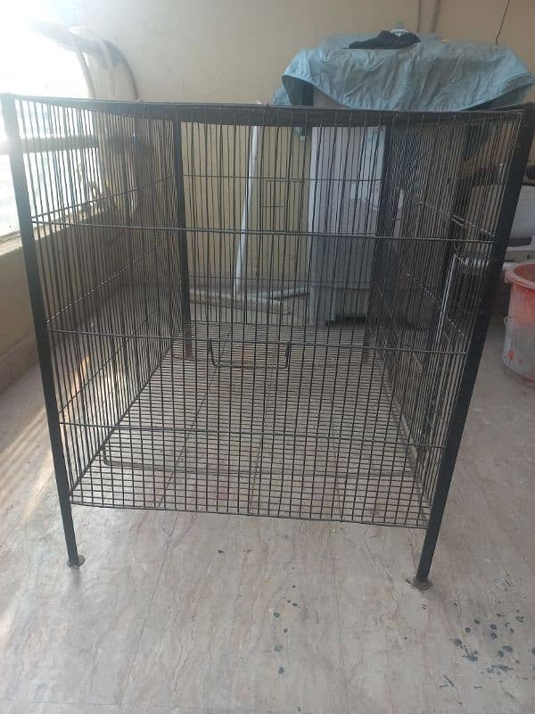 Large Chicken Cage 2