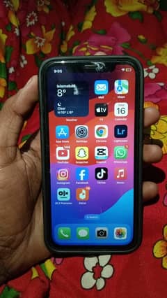 IPhone 11 Lush Condition 10by10 All Geniun