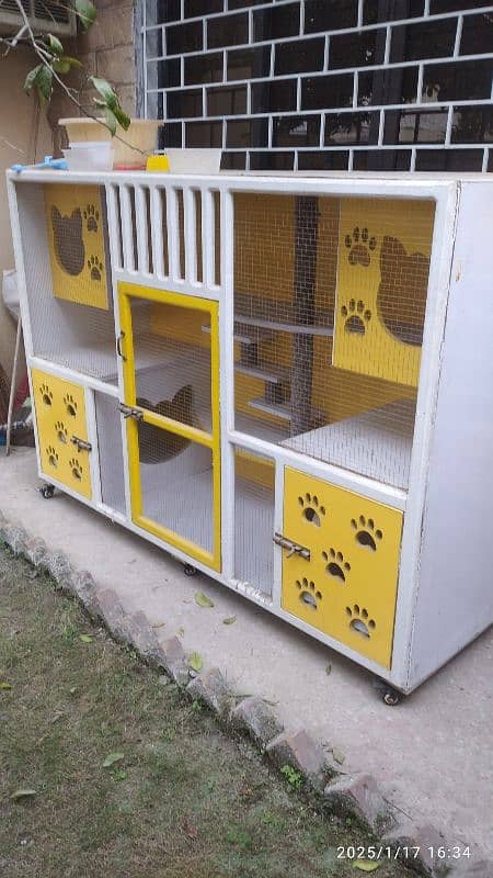 Cat House | Size Large | Colour Yellow and White | Condition 10/9 1