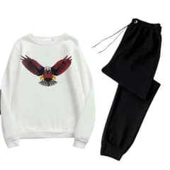 Men's Printed Polyester Sweatshirt Track Suit - 2 Pcs