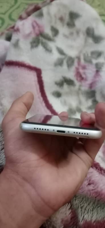 iphone 11 physical dual sim working 2