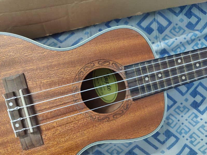 New Original Tayste Ukulele Tuk200-24 Model with box 3