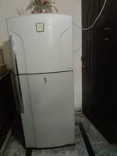 Fridge