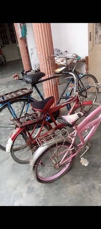 3 cycle for sale 0