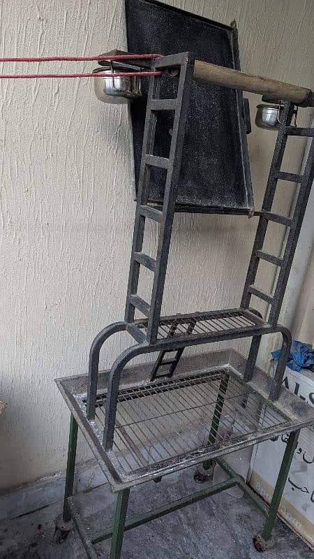 iron parrot training stand for macaws cockatoo African grey 0