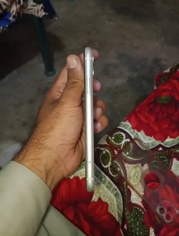 IPhone 11 (55000) 2