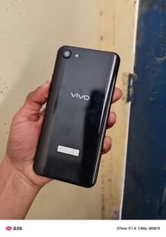 vivo