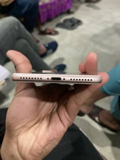 iphone 7 plus Pta Approve