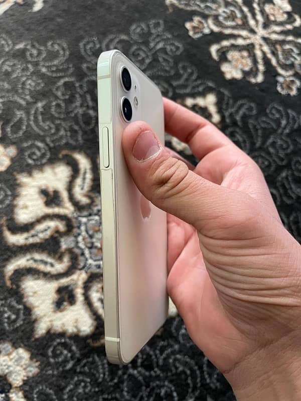 iphone 12 physical dual approve 3