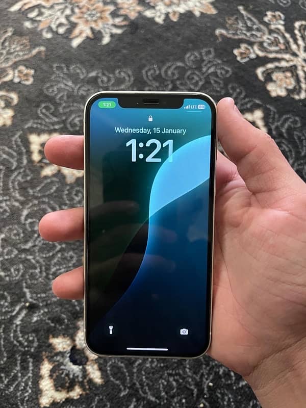 iphone 12 physical dual approve 4