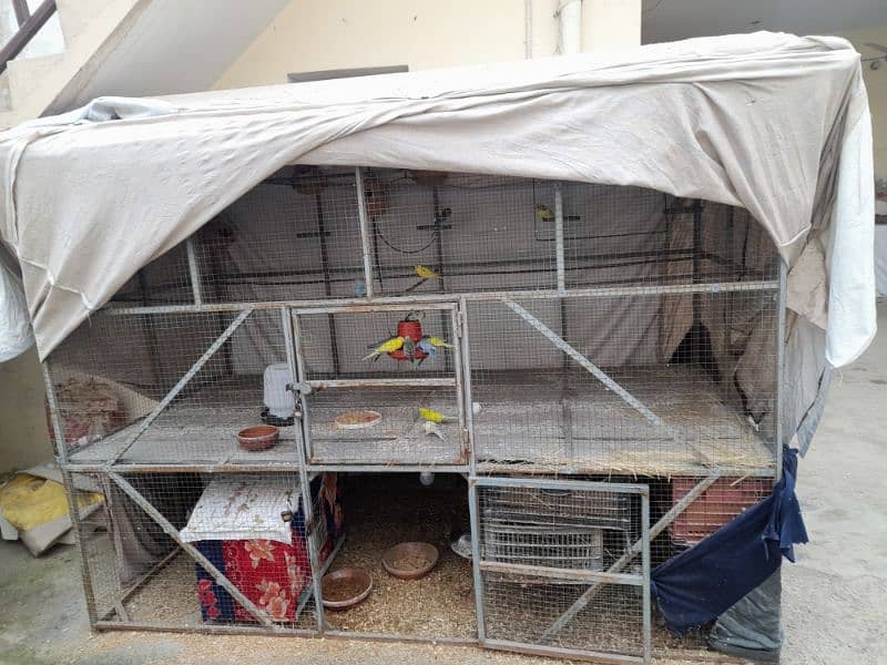 pigeon and  parrots cage for sale 0