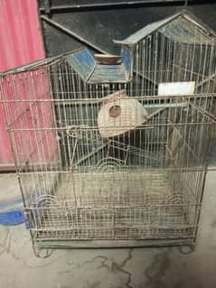 bird cage available