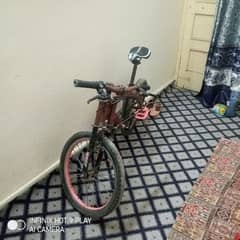 bicycle for boys and girls