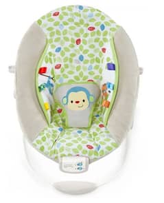 baby bouncer