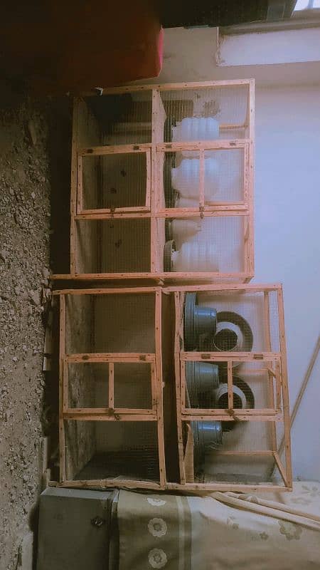 Hen cage for sale 1