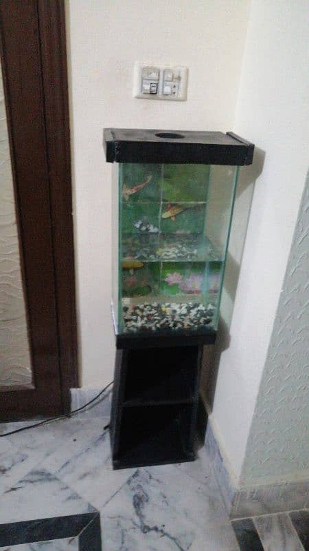 Fish Aquarium setup 1