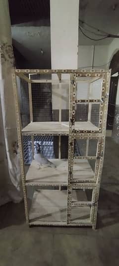 cage 3500