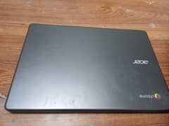 acer