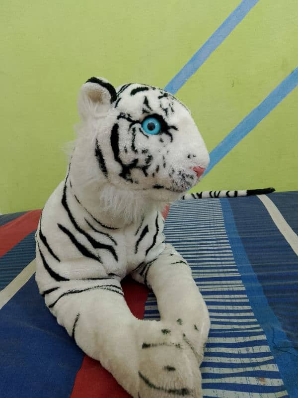 White & Black line. Tiger Blue Eyes . 2