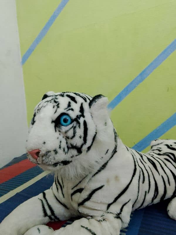 White & Black line. Tiger Blue Eyes . 3