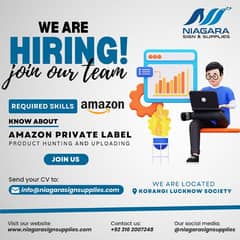 Looking For An Experience Amazon Private Label Expert - Join Our Team