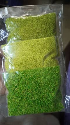 Grass