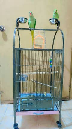 Parrots with cage