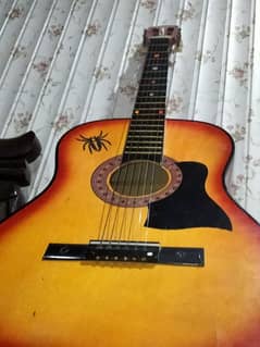 guitar instrument used