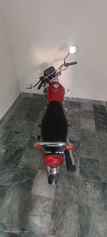 honda 125 modael 2024 0