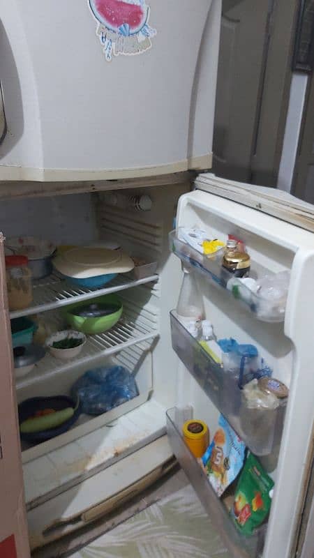 pel refrigerator 3