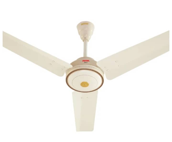 Ceiling fans 1