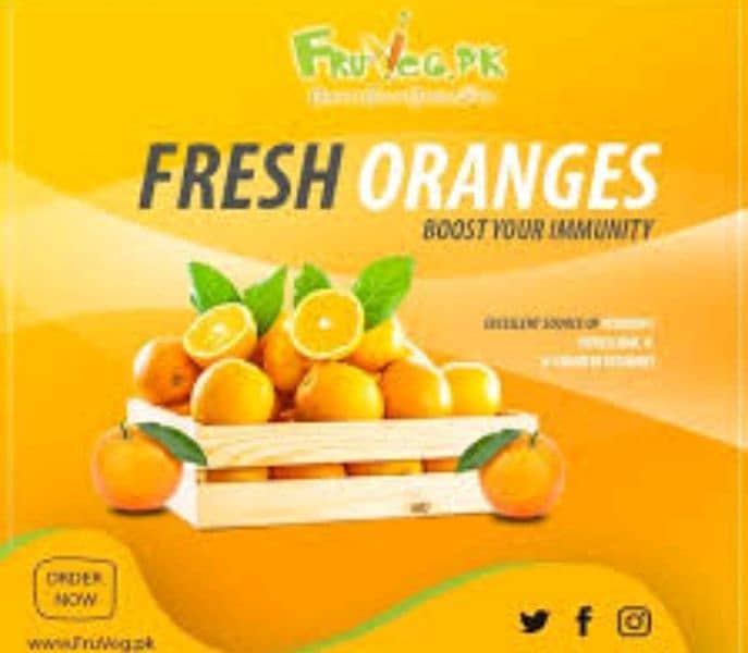 Fresh kinnow/oranges/malta 5