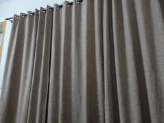 curtains