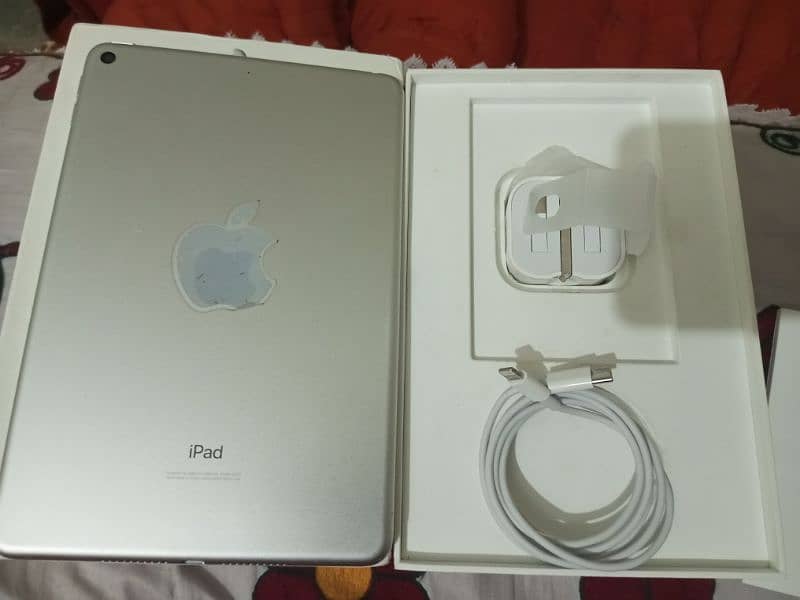 Ipad Mini 5 1